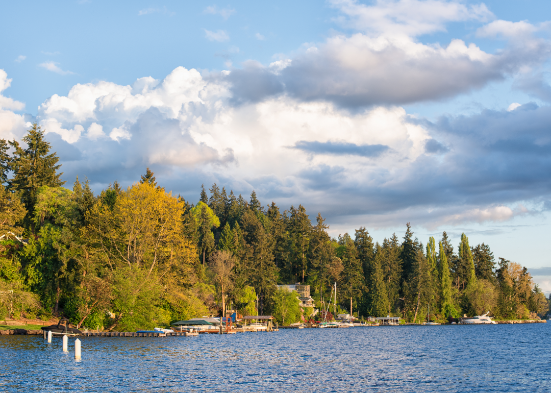 Coastal area near Bellevue.