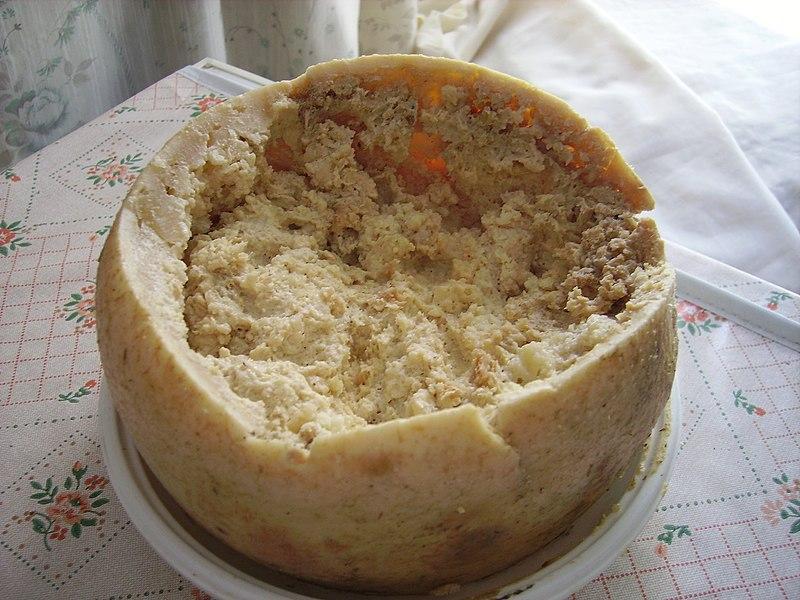 Casu marzu cheese served on a plate.