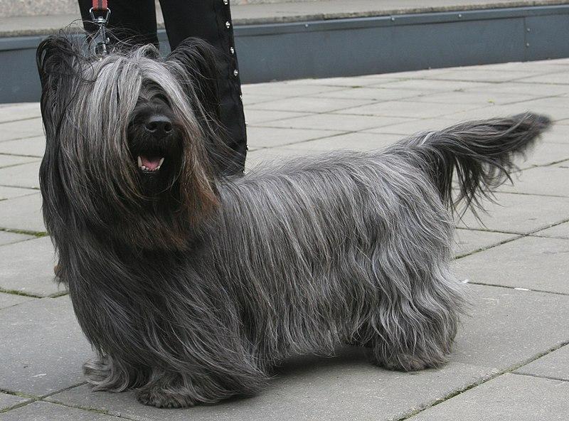 #18. Zeus