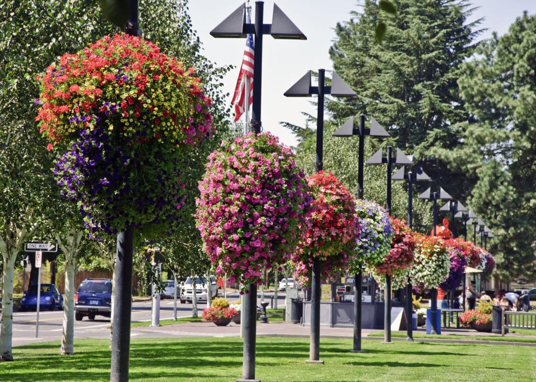 Hanging flower baskets in Beaverton City Park