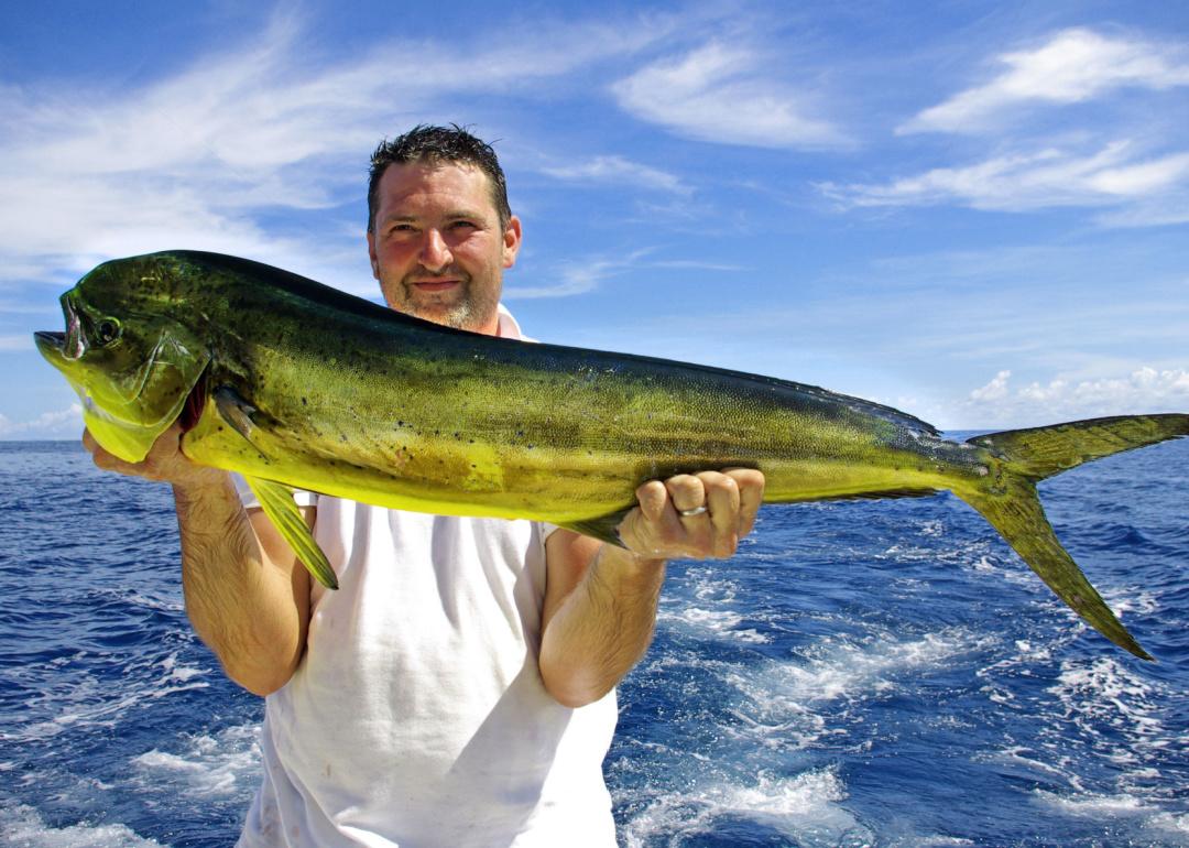 Person holding a large dolphin fish.