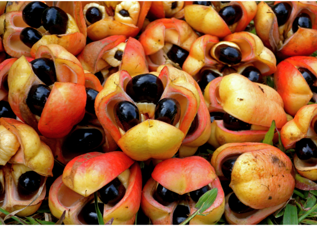 Close-up of ackee fruit in a pile.