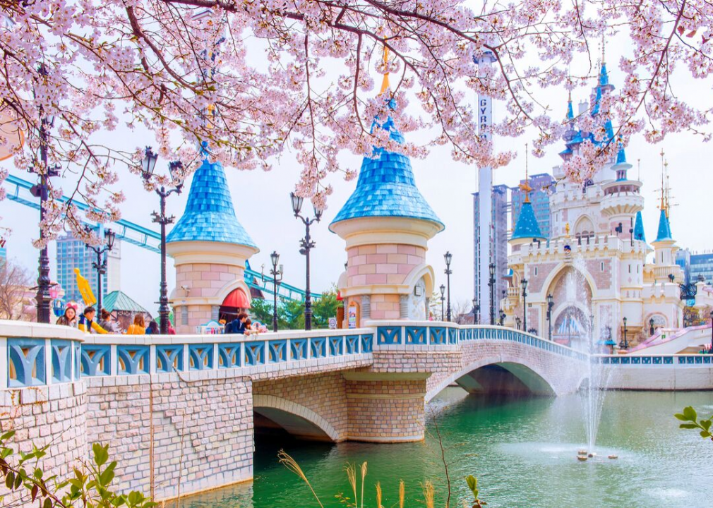Amusement Parks10KoreaBlossoms