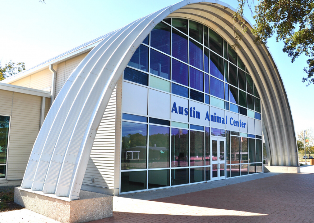 Texas: Austin Animal Center