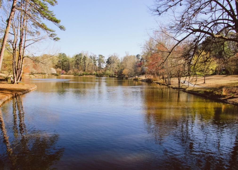 A pond surrounded by trees.