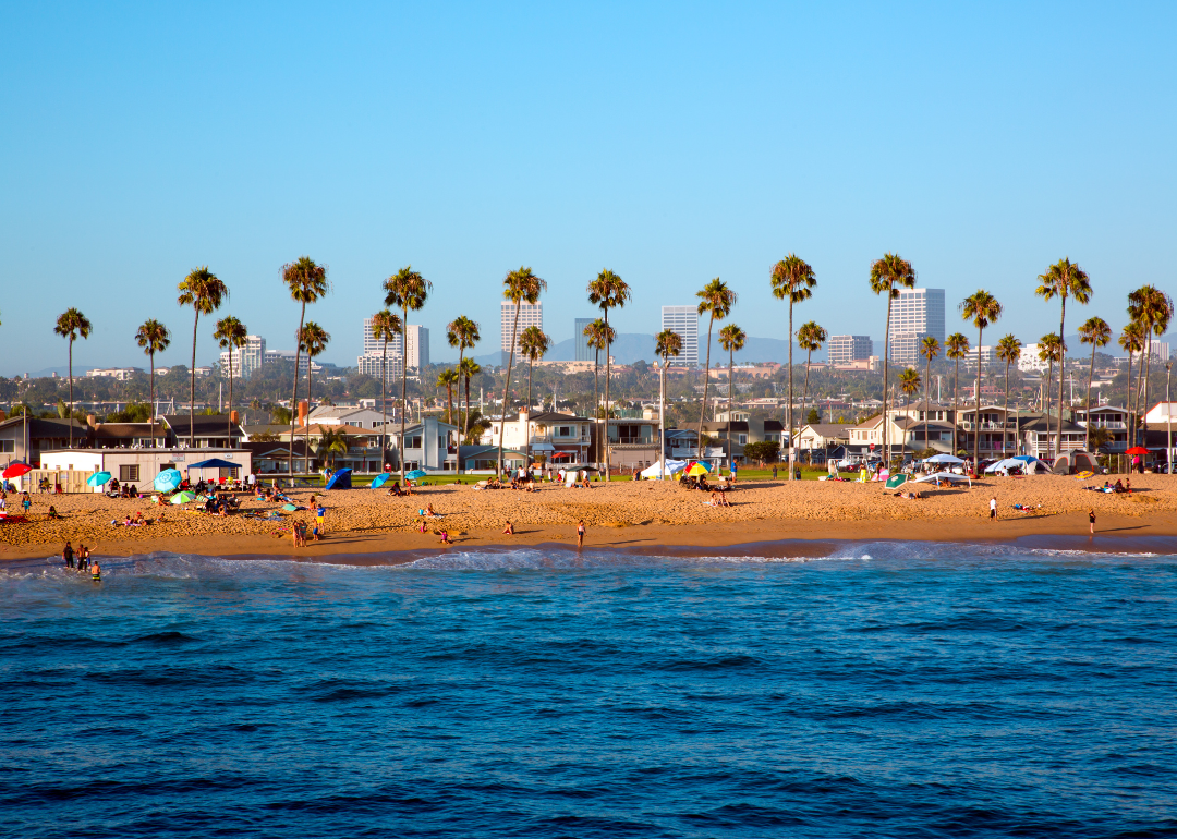Palm trees and people on the beach in Newport Beach.
