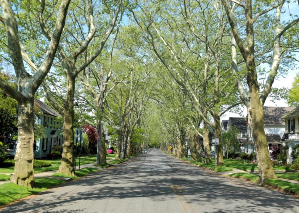 A tree-lined street in a residential neighborhood.