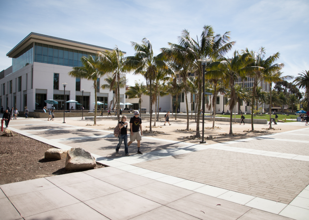 A courtyard of palm trees on campus.