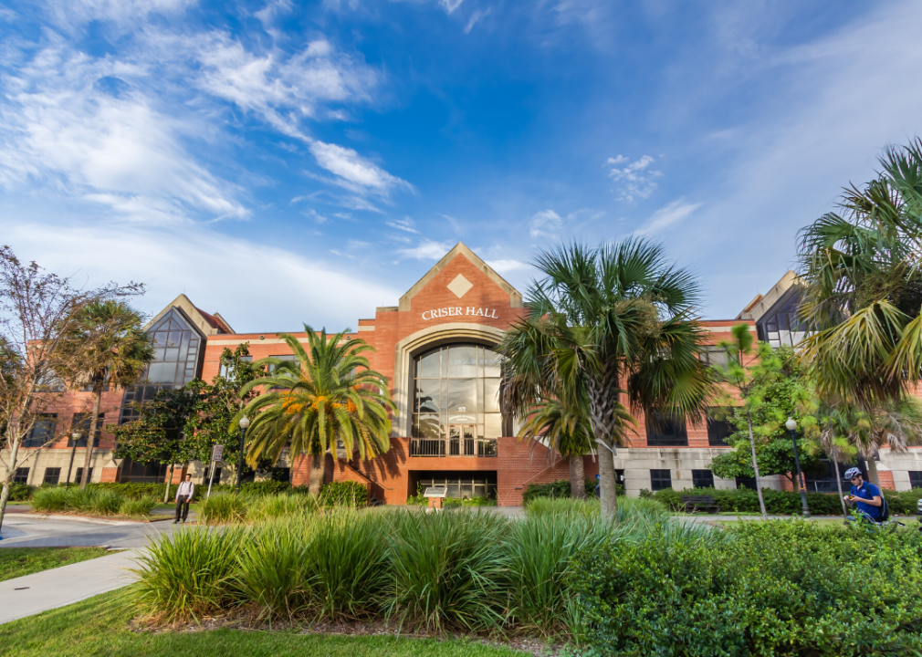 Palm trees in front of University of Florida.