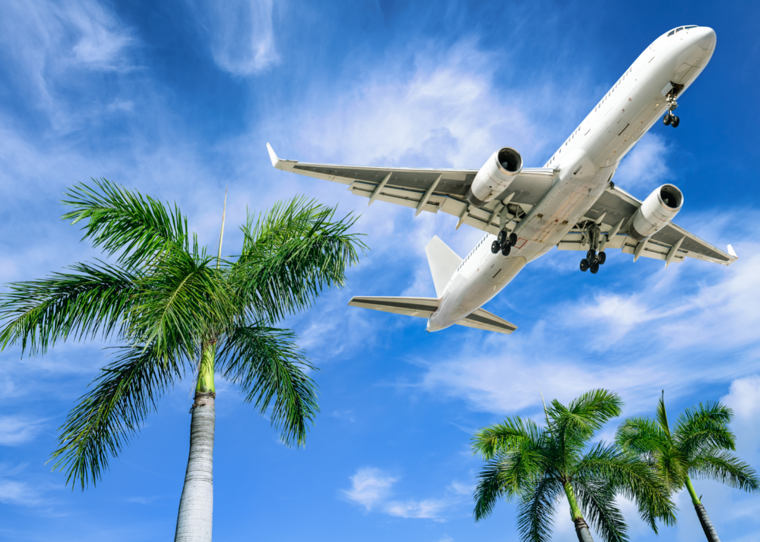 A plane takes flight with palm trees blowing in the wind below.