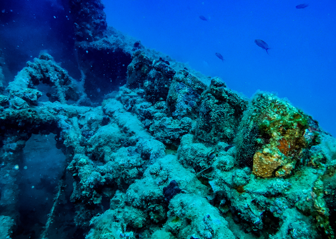 Underwater view of a shipwreck outside Bonassola Liguria Italy.