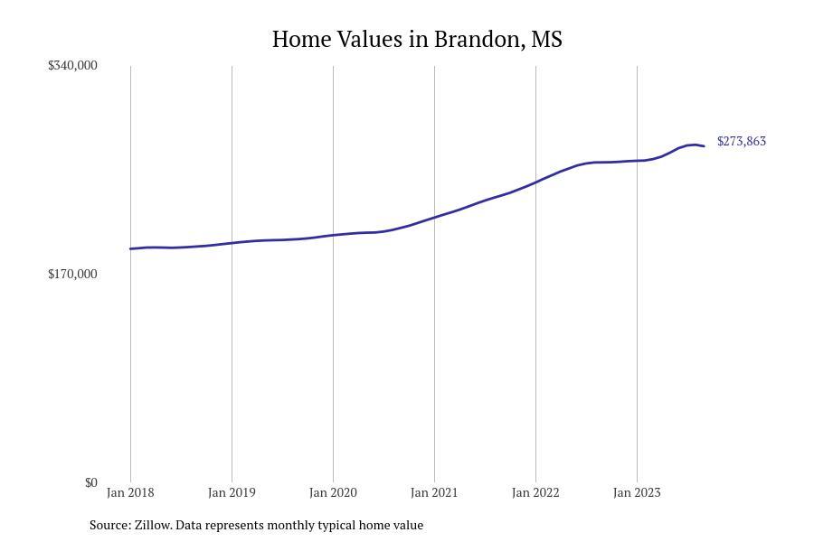#6. Brandon