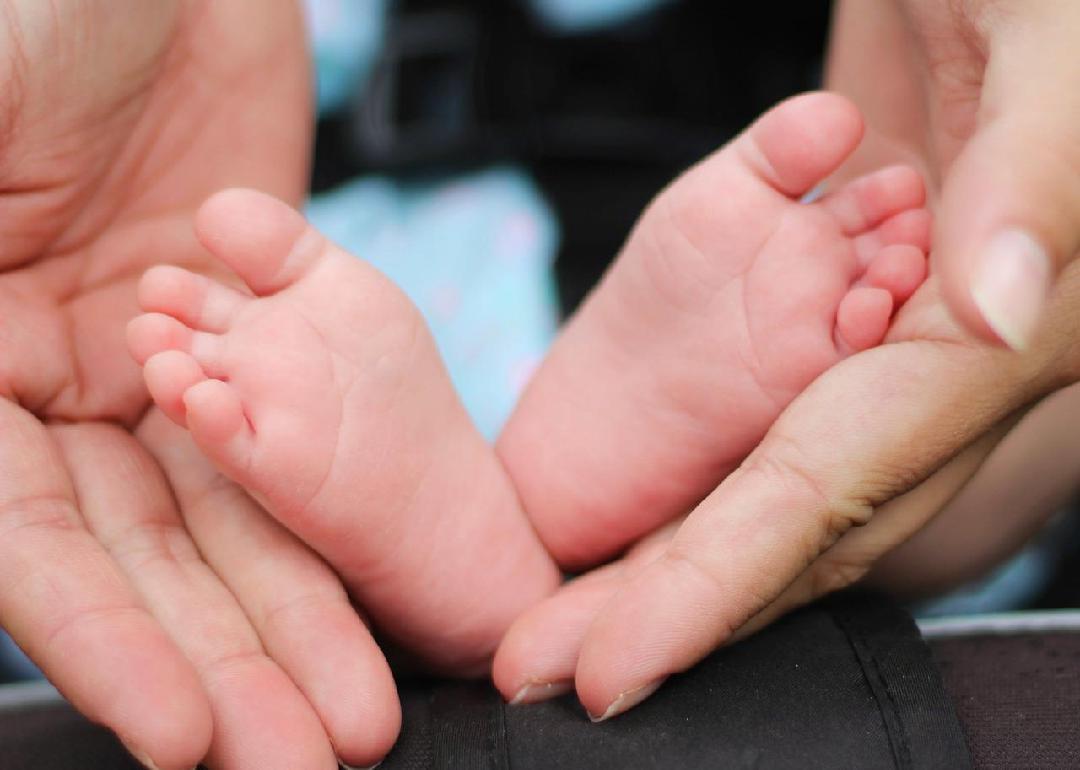 A pair of hands holding a pair of newborn