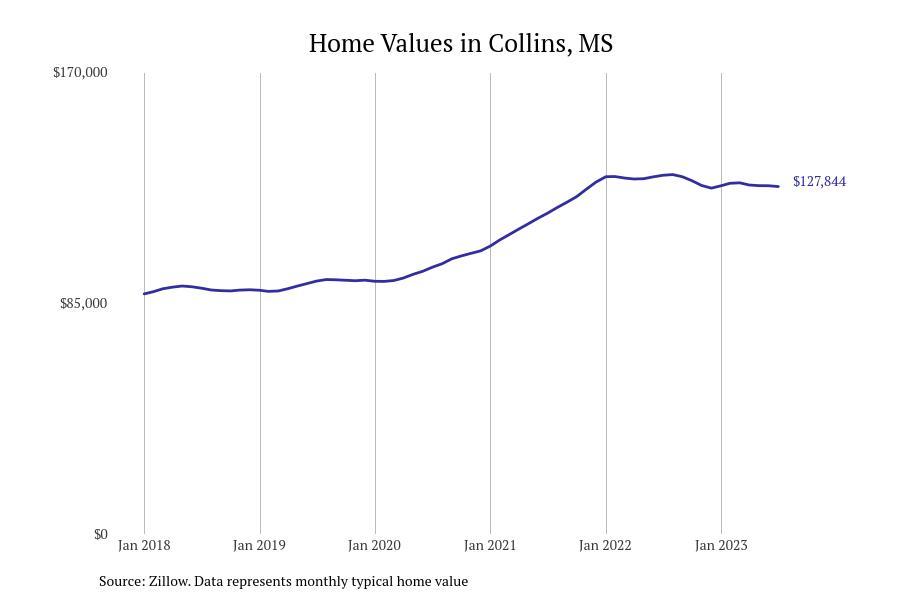 #10. Collins, MS