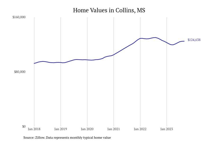 #5. Collins, MS