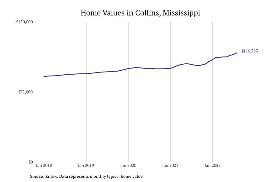 #11. Collins, Mississippi