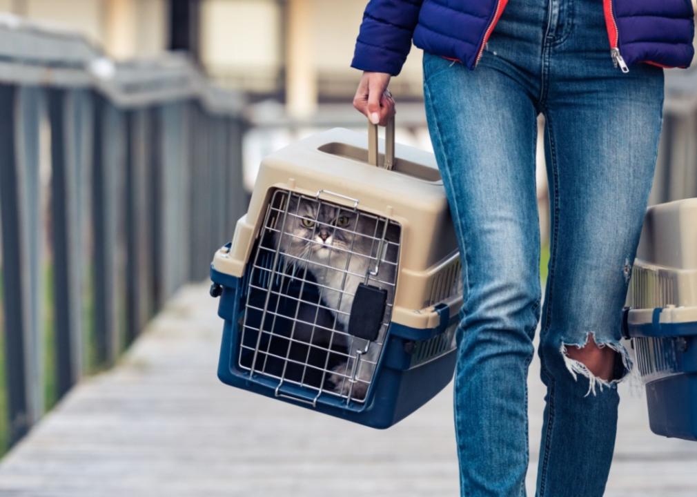 A person carrying a cat in a crate.