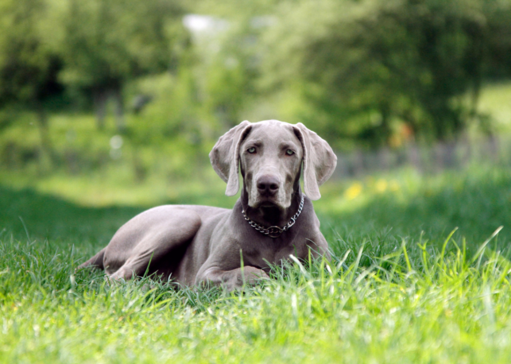 #3. Max