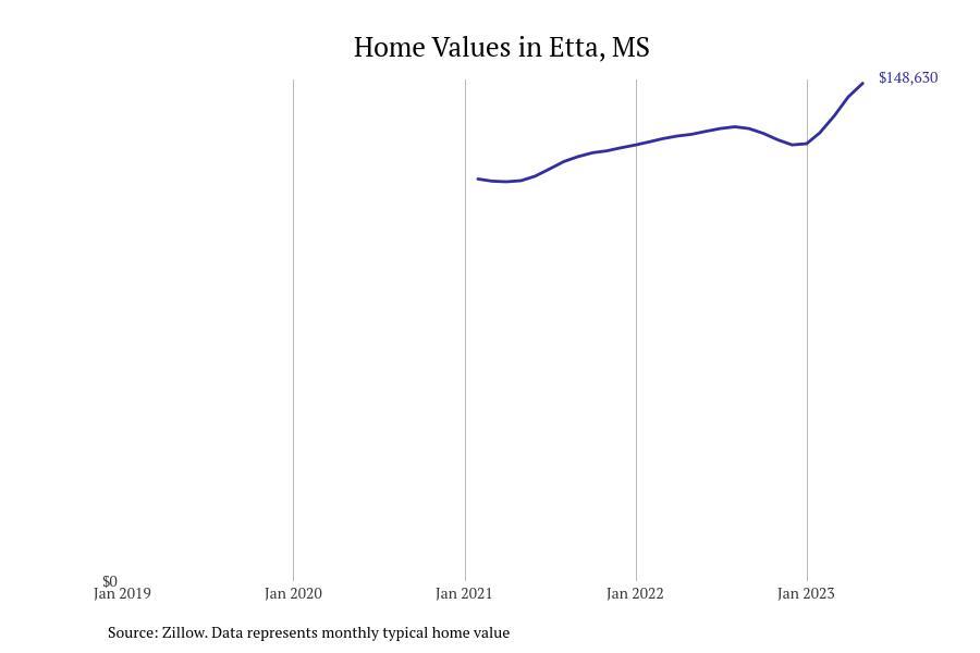 #7. Etta