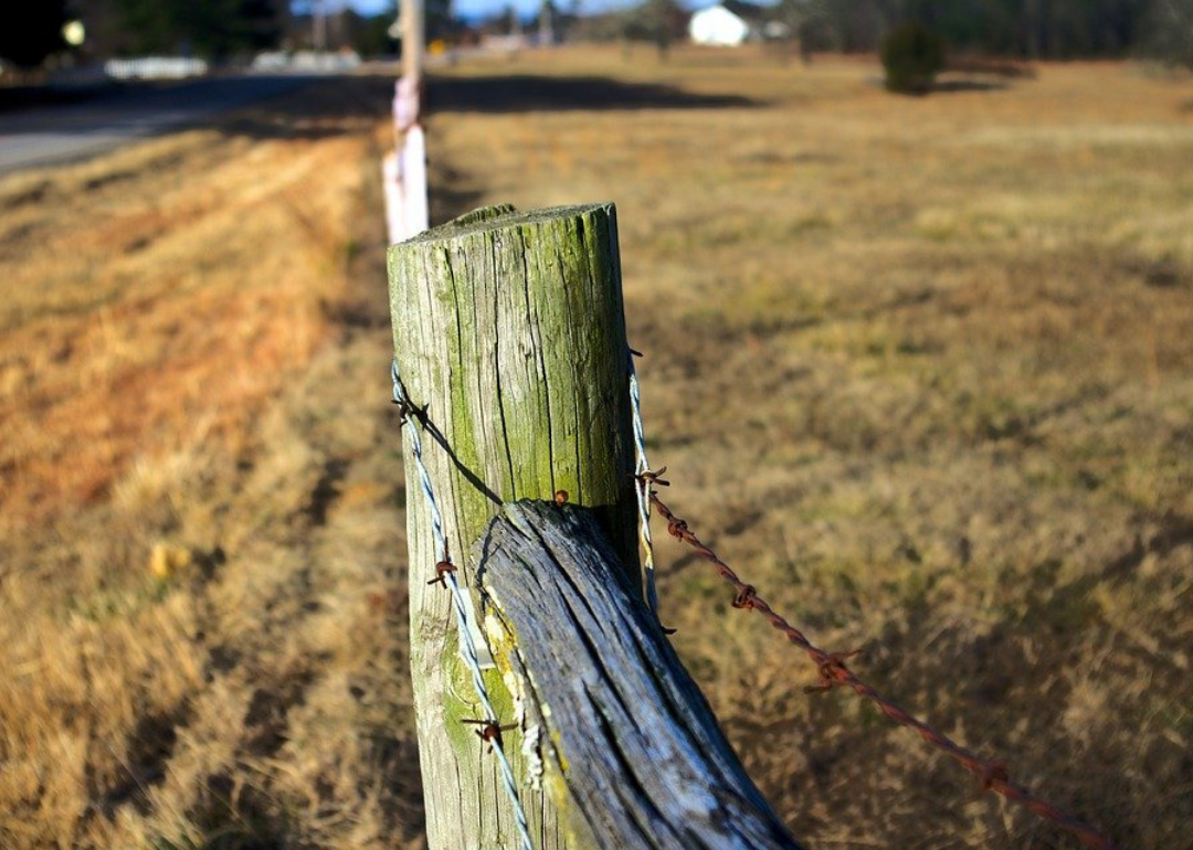 Weathered fence post
