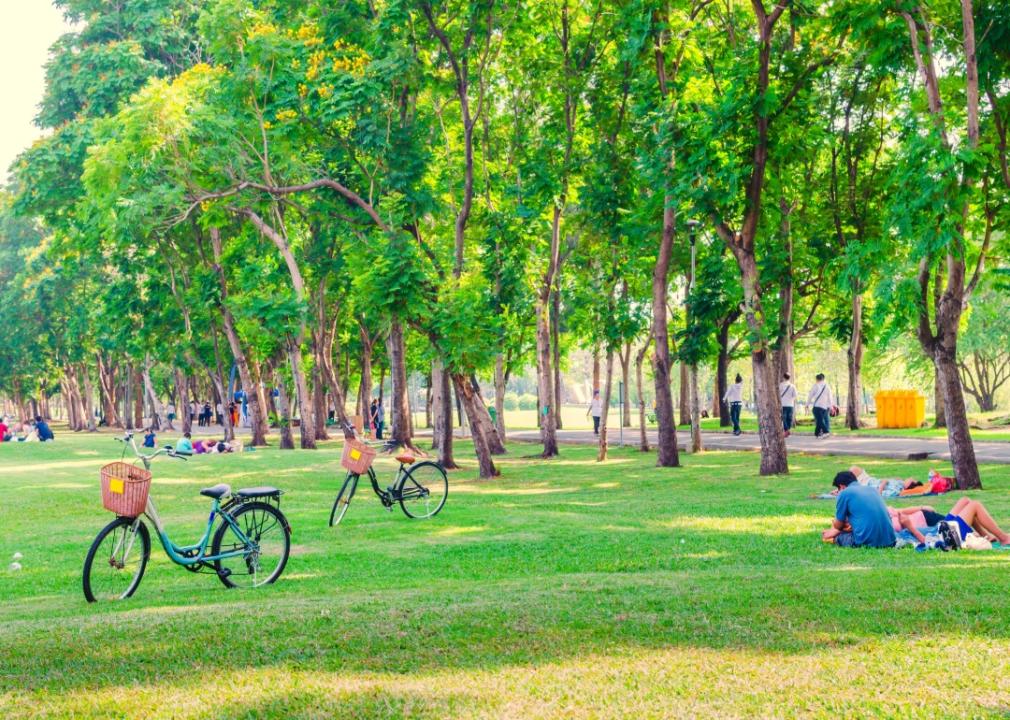 Bicycles and people on a green lawn.