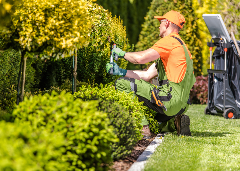 A man in green overalls kneeling in the garden trimming bushes. 