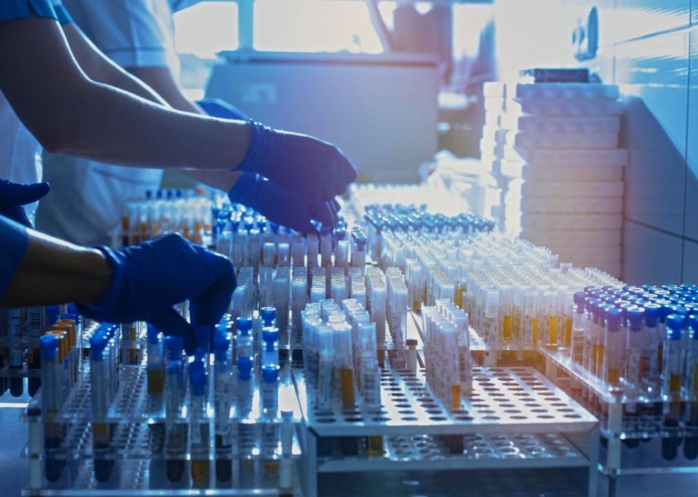 A close up of laboratory assistants hands in blue rubber gloves touching multiple tubes. 