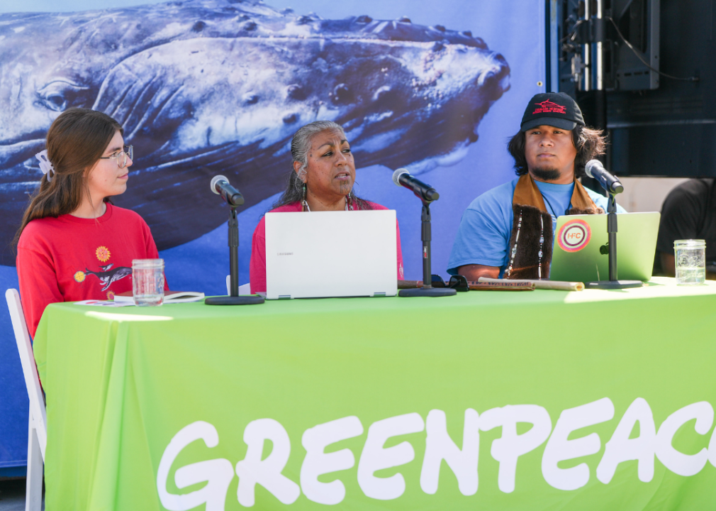 Two people sitting at a table with a Greenpeace tablecloth with computers and microphones in front of them. 
