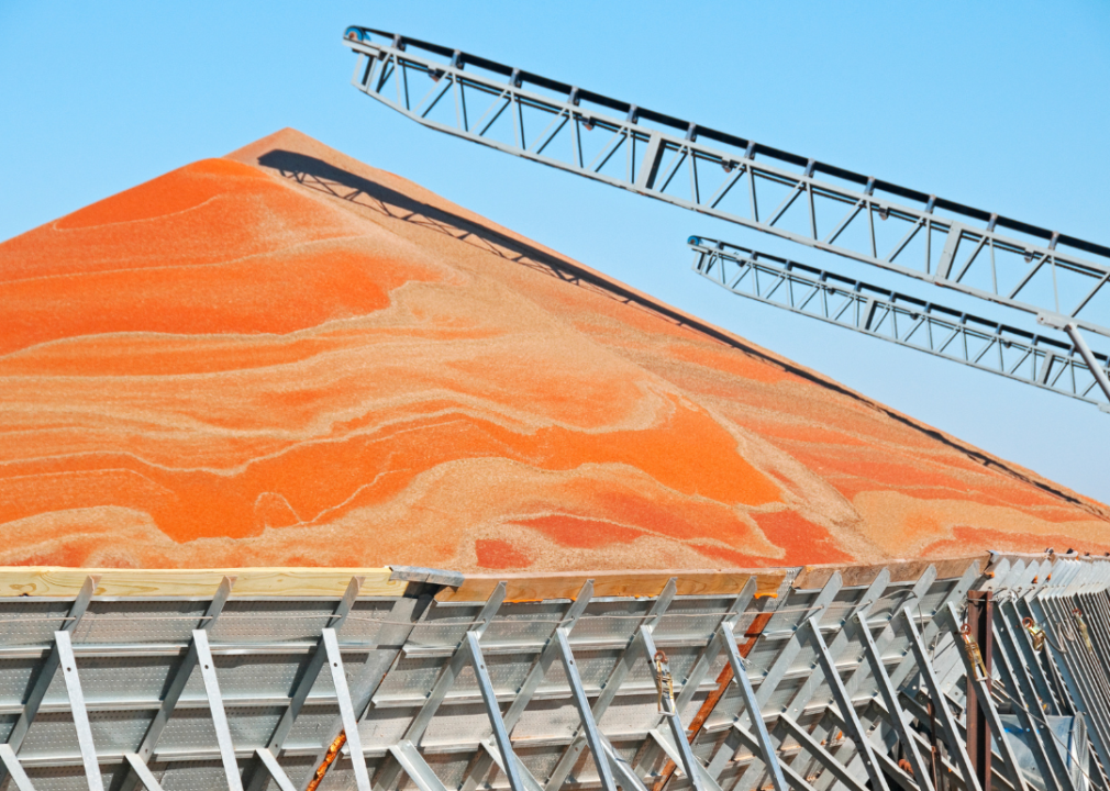 A large pile of grain next to a conveyor belt.