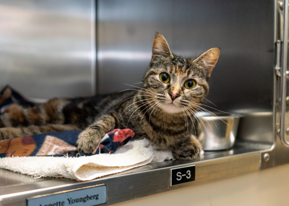 South Dakota: Heartland Humane Society