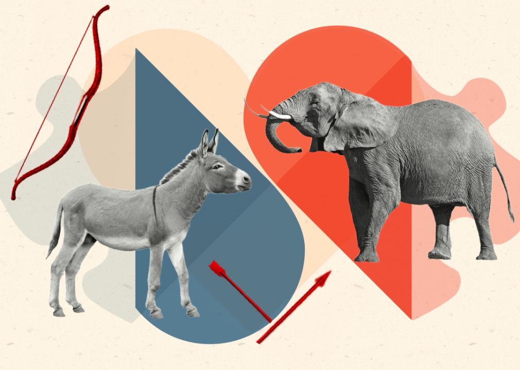 Graphic illustration with donkey and elephant.
