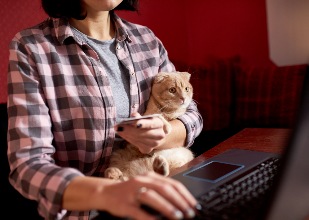 A woman whose head cannot be seen types on a keyboard with a cat in her lap