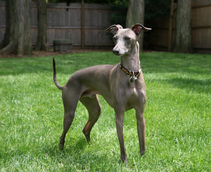 #6. Rocky