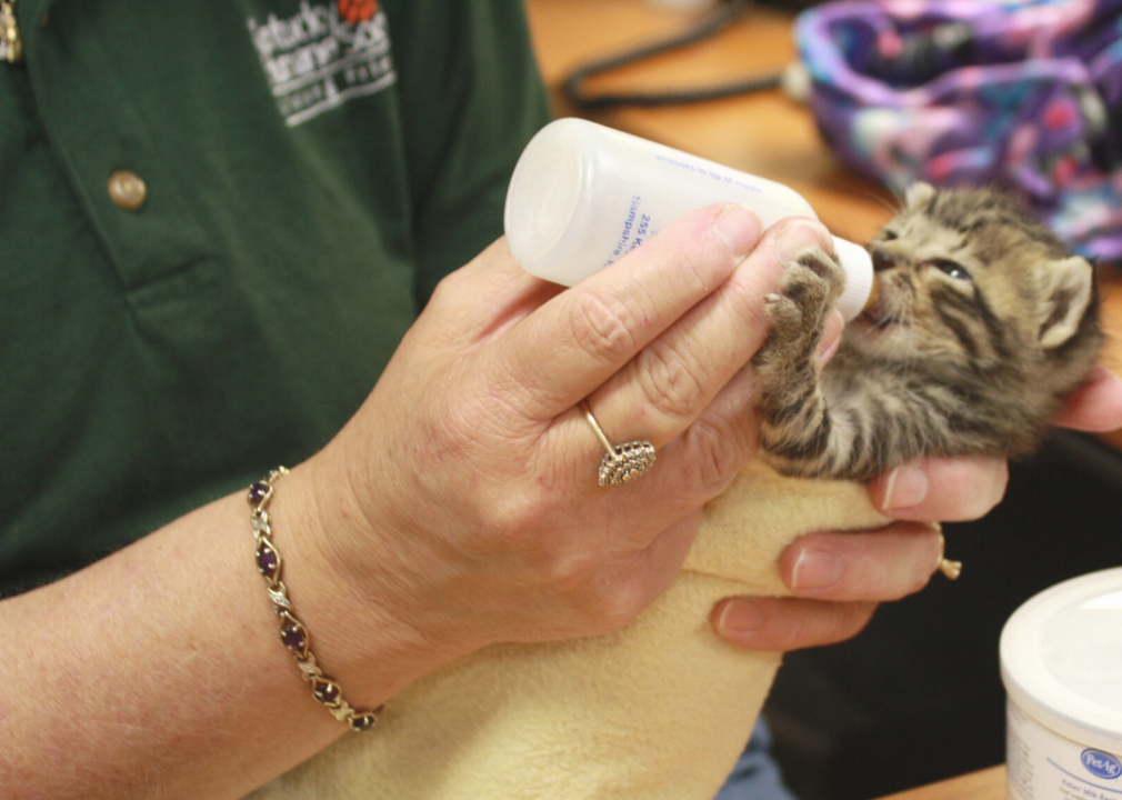 Kentucky: Kentucky Humane Society