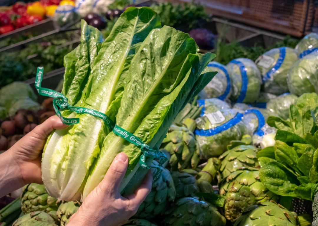 A person inspects a head of romaine lettuce at a supermarket