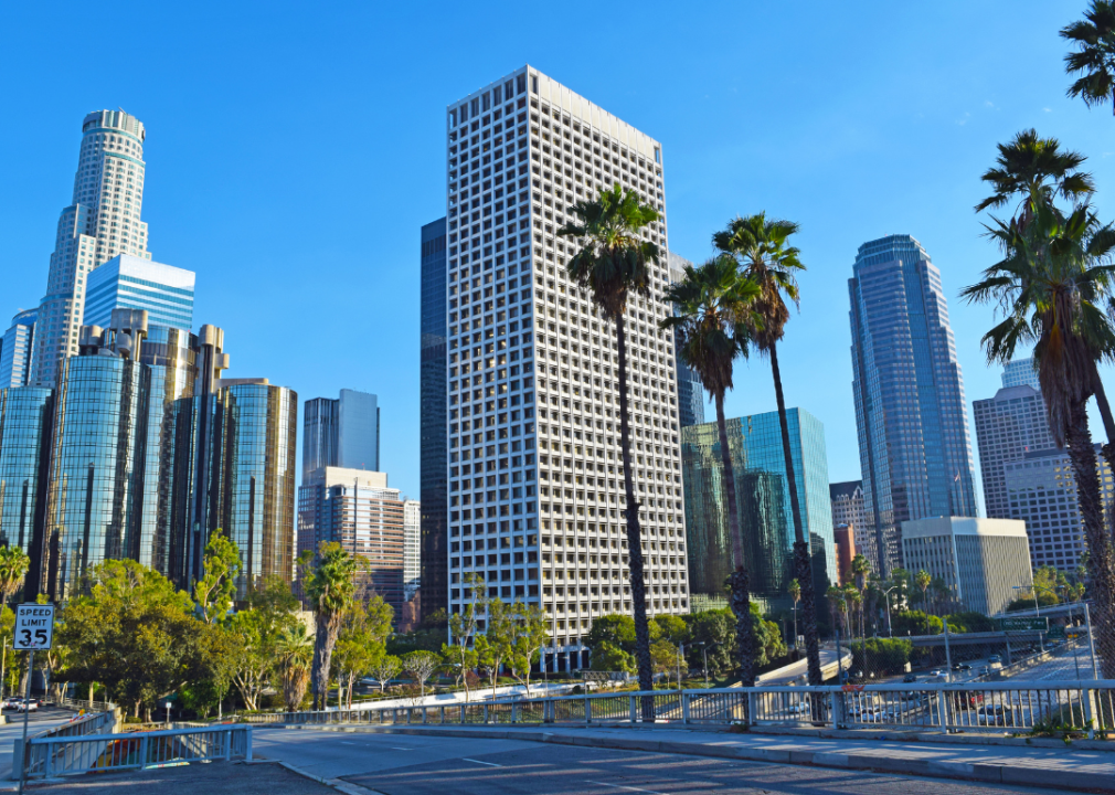 A city skyline with palm trees and skyscrapers.