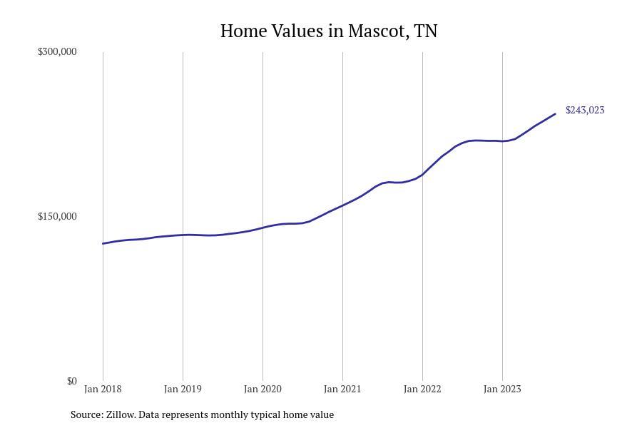 #9. Mascot