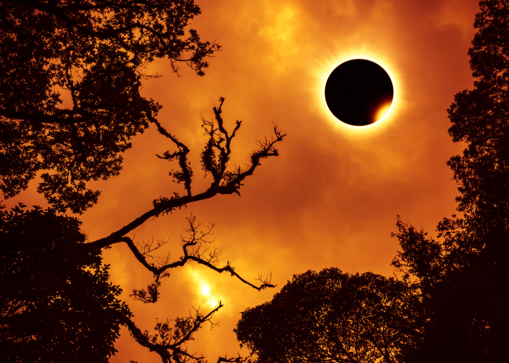 A sun blocked by black circle in bright orange sky surrounded by trees silhouettes.  