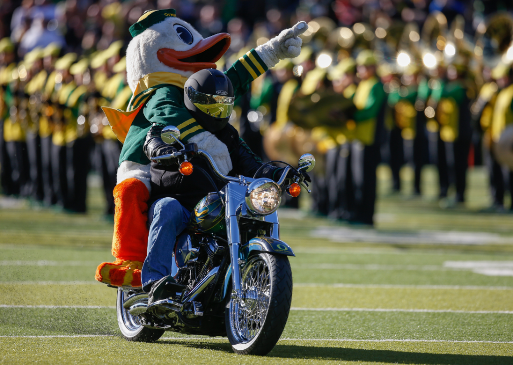 The Oregon Ducks mascot rides the back of a motorcycle prior to a game.