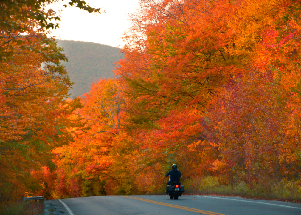 A motorcyclist riding along a highway surrounded by bright red and orange Fall foliage.