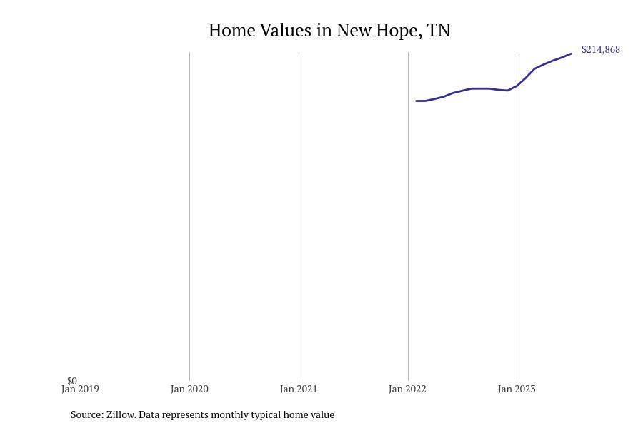 #31. New Hope