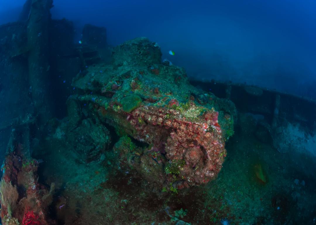 Underwater photo of the wreck of the Japanese Nippo Maru shipwreck.