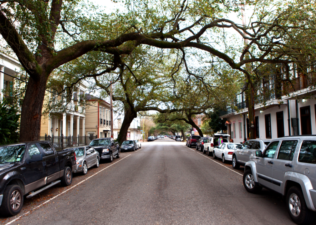 Cars parked on a street in New Orleans.