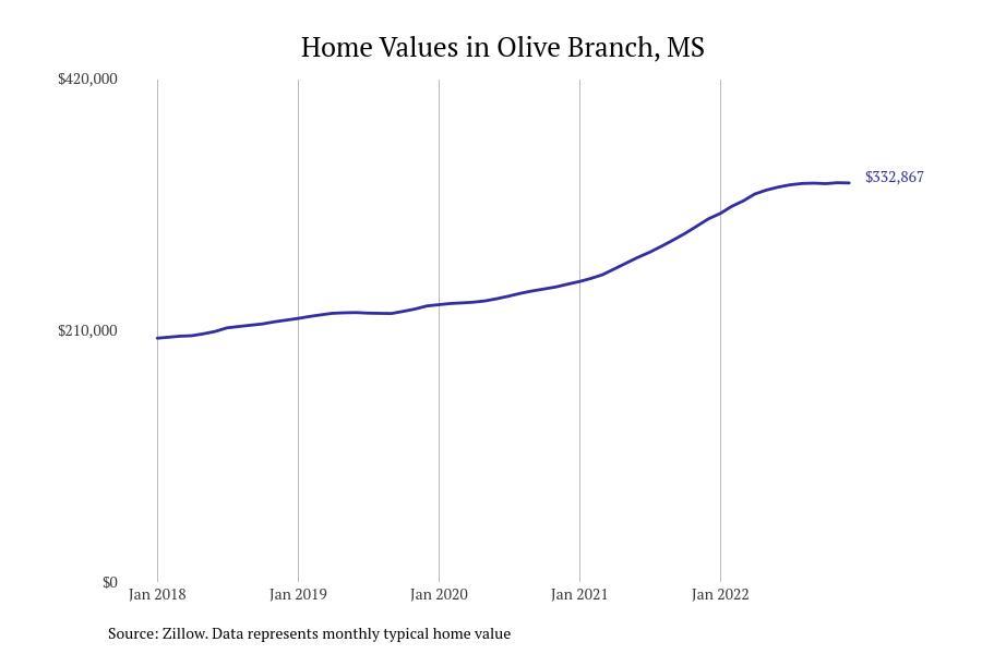 #5. Olive Branch