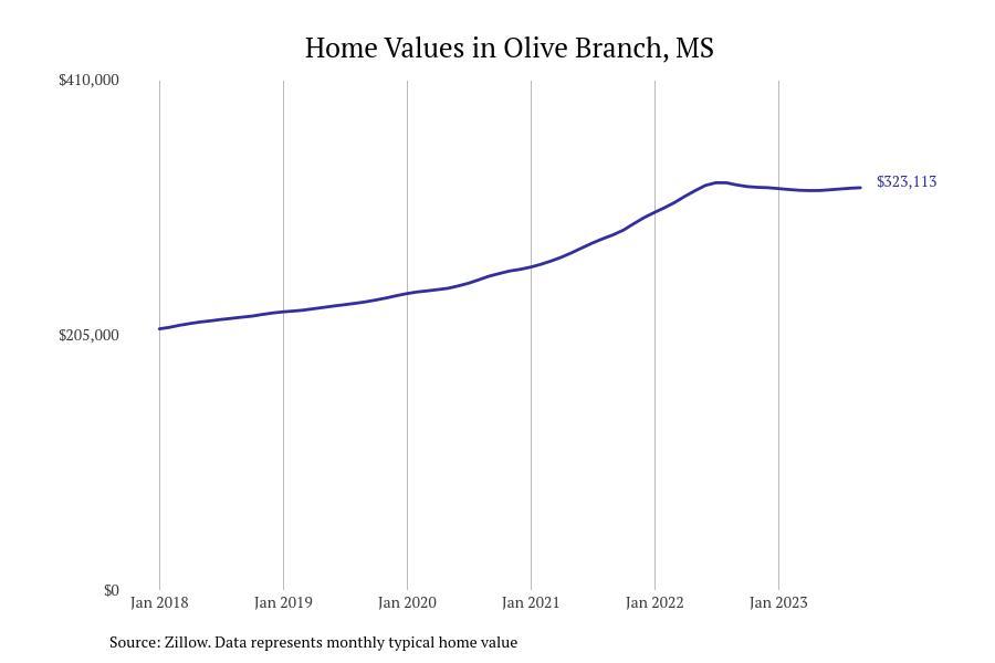 #5. Olive Branch