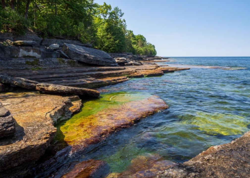 Moss-covered cliffs on Lake Ontario.