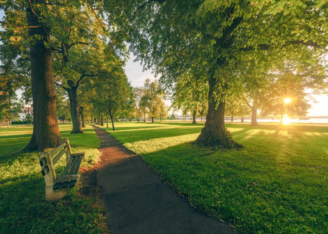 A green park with a park bench in the trees at sunrise.