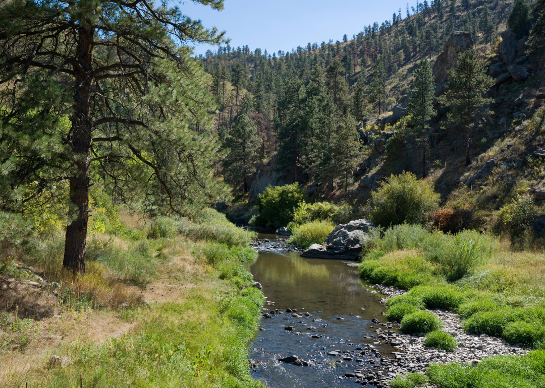 A stream in the mountains.