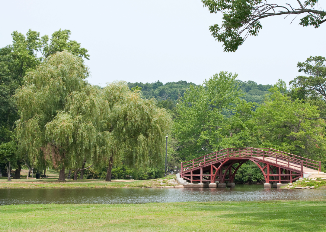 A bridge and willow tree in a park.