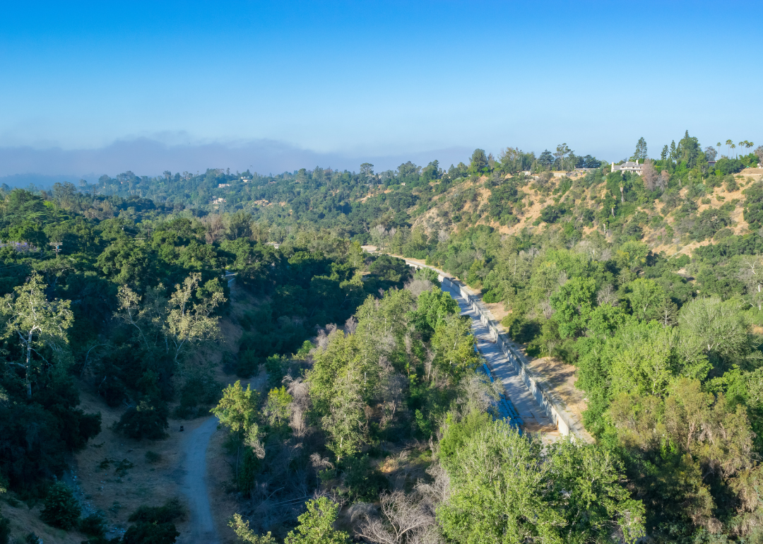 A canyon covered in trees.